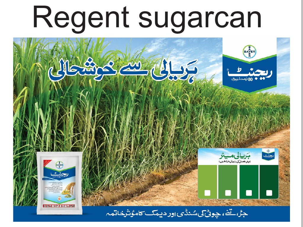 distance - vegetables