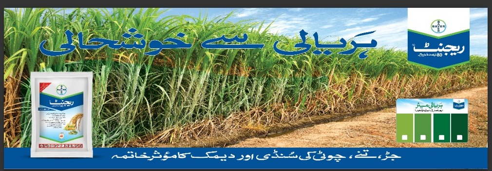 distance - vegetables